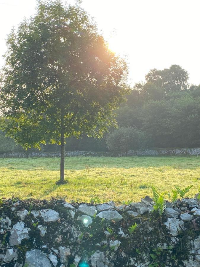 La Casa De Hierba - Casa De Campo De Diseno Con Jardin Y Wifi Cerca De Las Playas De Llanes Esterno foto